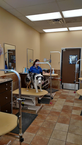 Pet Supply Store «PetSmart», reviews and photos, 482 Stillwater Ave Ste 2A, Bangor, ME 04401, USA