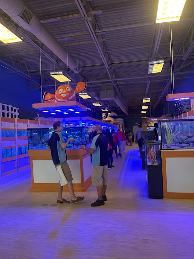 Tropical Fish Store «Nemo Aquarium», reviews and photos, 1560 Indian Trail Rd #106, Norcross, GA 30093, USA