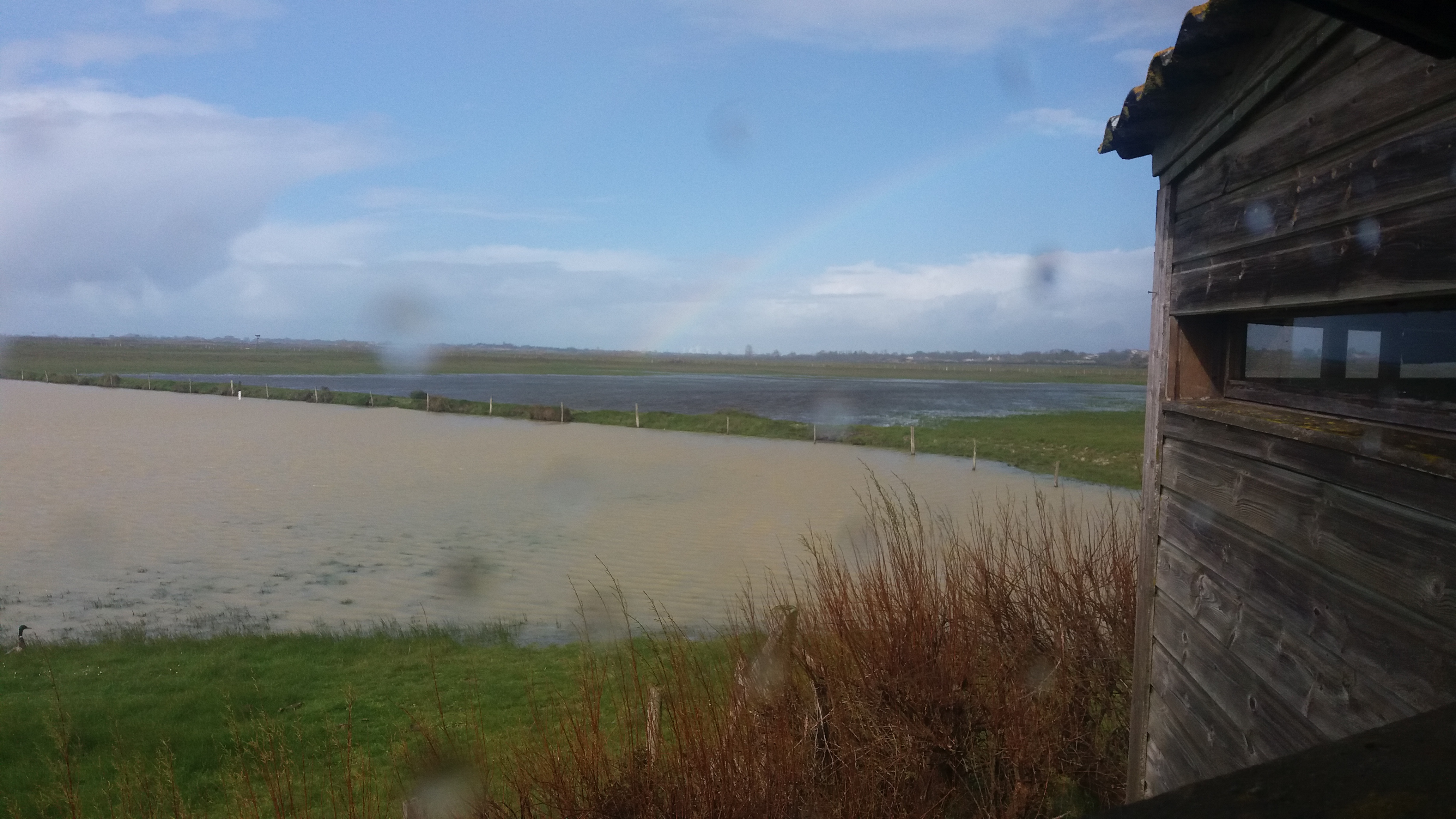 Photo n° 2 de l'avis de Thaiis.e fait le 18/04/2019 à 06:04