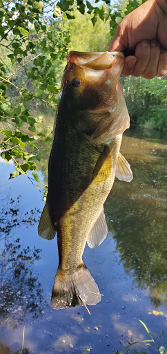 Outdoor Sports Store «Stokes Forest Sports Shop», reviews and photos, 29 US-206, Sandyston, NJ 07826, USA