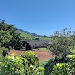 Maui Ku’ia Estate Cacao Farm