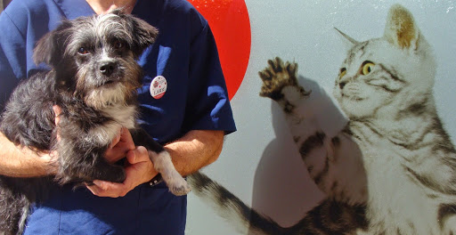 Anicura Asturpet Hospital Veterinario en Gijón