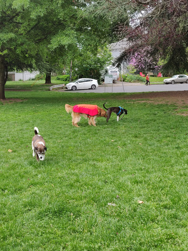 Park «Sewallcrest Park», reviews and photos, SE 31st Ave & Market St, Portland, OR 97214, USA