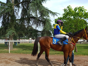 Photo n°8 de SOC DES COURSES DE SENONNES-POUANCE à Senonnes ()