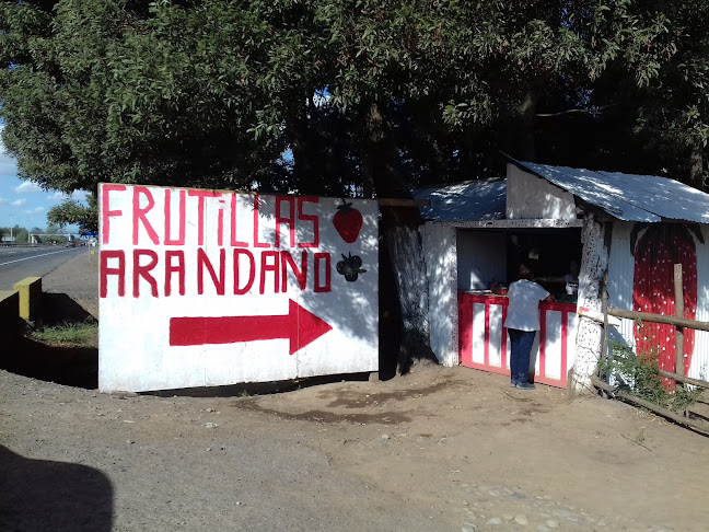 Opiniones de Frutillas Y Arandanos (Venta Temporada) en San Carlos - Frutería