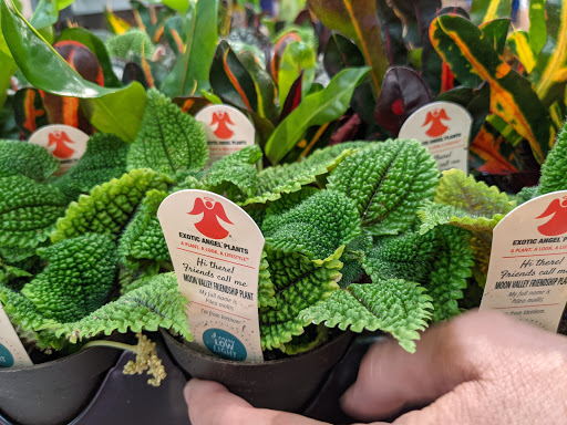 Supermarket «Best Market Massapequa», reviews and photos, 5601 Merrick Rd, Massapequa, NY 11758, USA