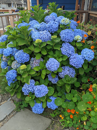 Coffee Shop «Sea Level Bakery + Coffee», reviews and photos, 3116 S Hemlock St, Cannon Beach, OR 97103, USA