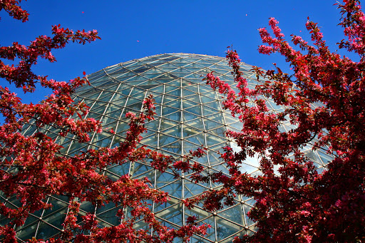 Botanical Garden «Mitchell Park Horticultural Conservatory», reviews and photos, 524 S Layton Blvd, Milwaukee, WI 53215, USA