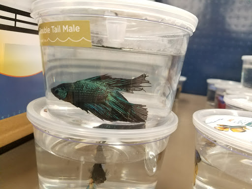 Pet Supply Store «Petco Animal Supplies», reviews and photos, 9700 Midlothian Turnpike, Richmond, VA 23235, USA