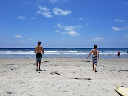 Leucadia beach'in fotoğrafı imkanlar alanı