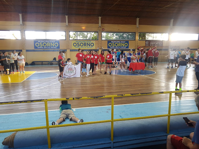 Gimnasio Pedro Aguirre Cerda - Osorno