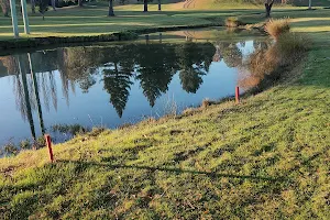 Taieri Golf Club image