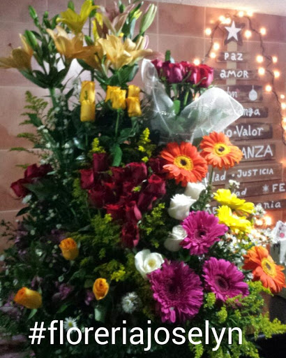 Florería Josélyn – Culiacán