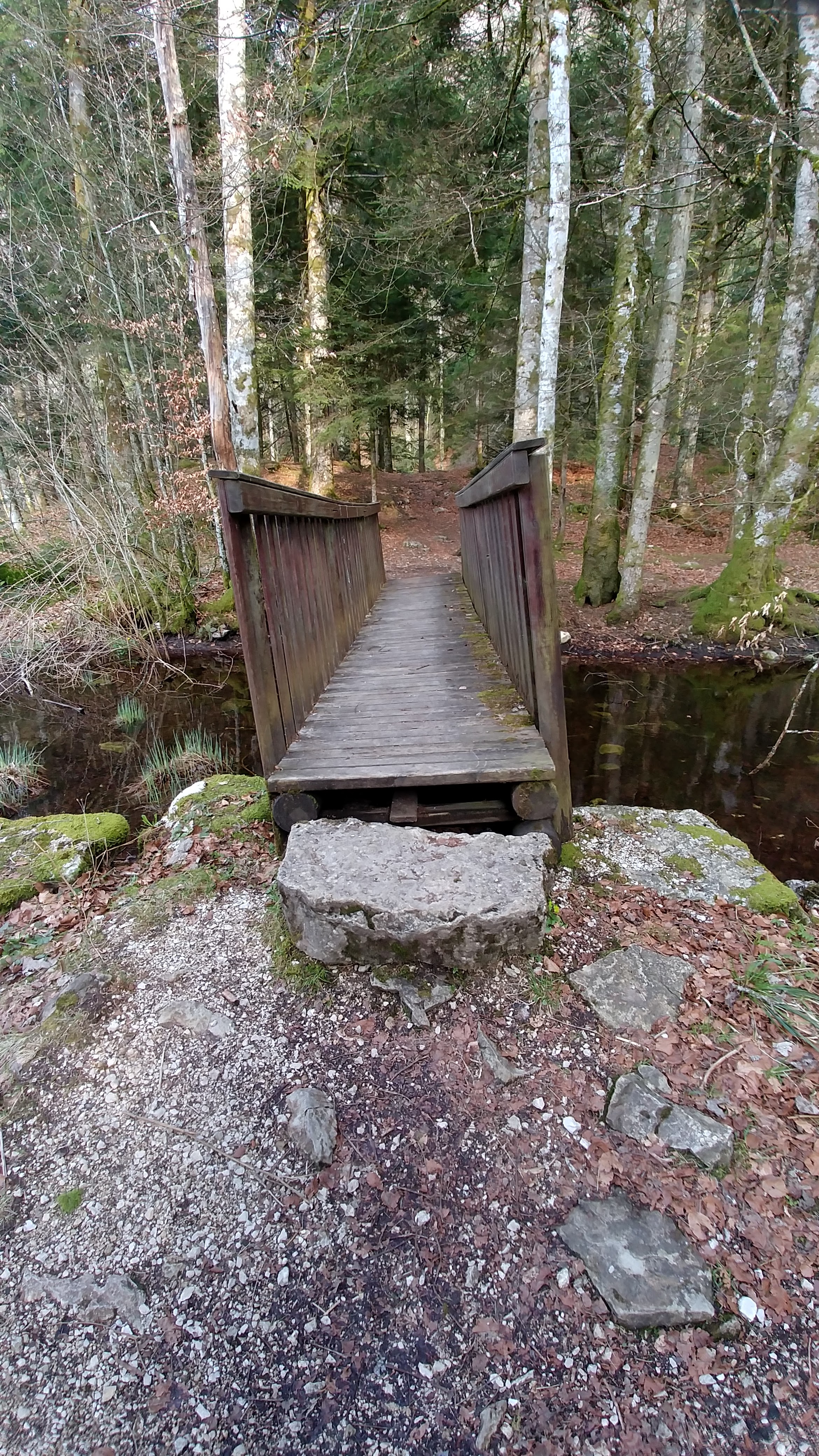 Photo n° 4 de l'avis de Pierre.a fait le 11/04/2019 à 16:38