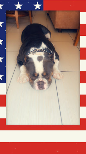 Pet Supply Store «PetSmart», reviews and photos, 11945 Central Ave, Chino, CA 91710, USA