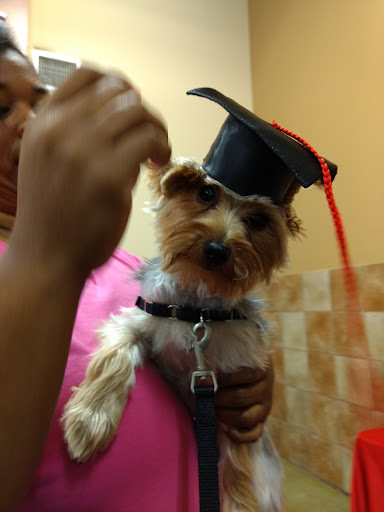 Pet Supply Store «PetSmart», reviews and photos, 9905 E Independence Blvd, Matthews, NC 28105, USA