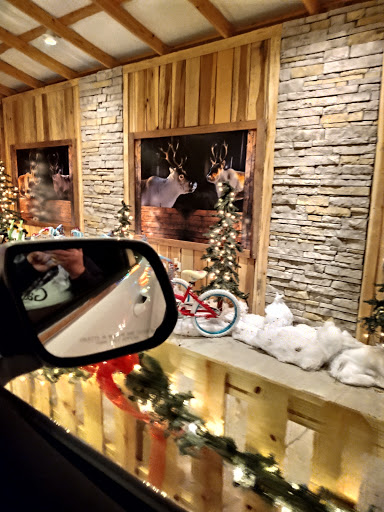 Tourist Attraction «Chads Winter Wonderland», reviews and photos, 791 Old Laguardo Rd E, Lebanon, TN 37087, USA