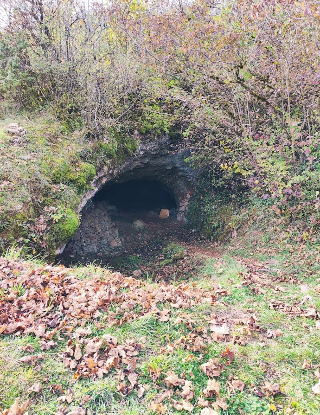 Photo n° 5 de l'avis de Lison.a fait le 09/08/2022 à 19:15