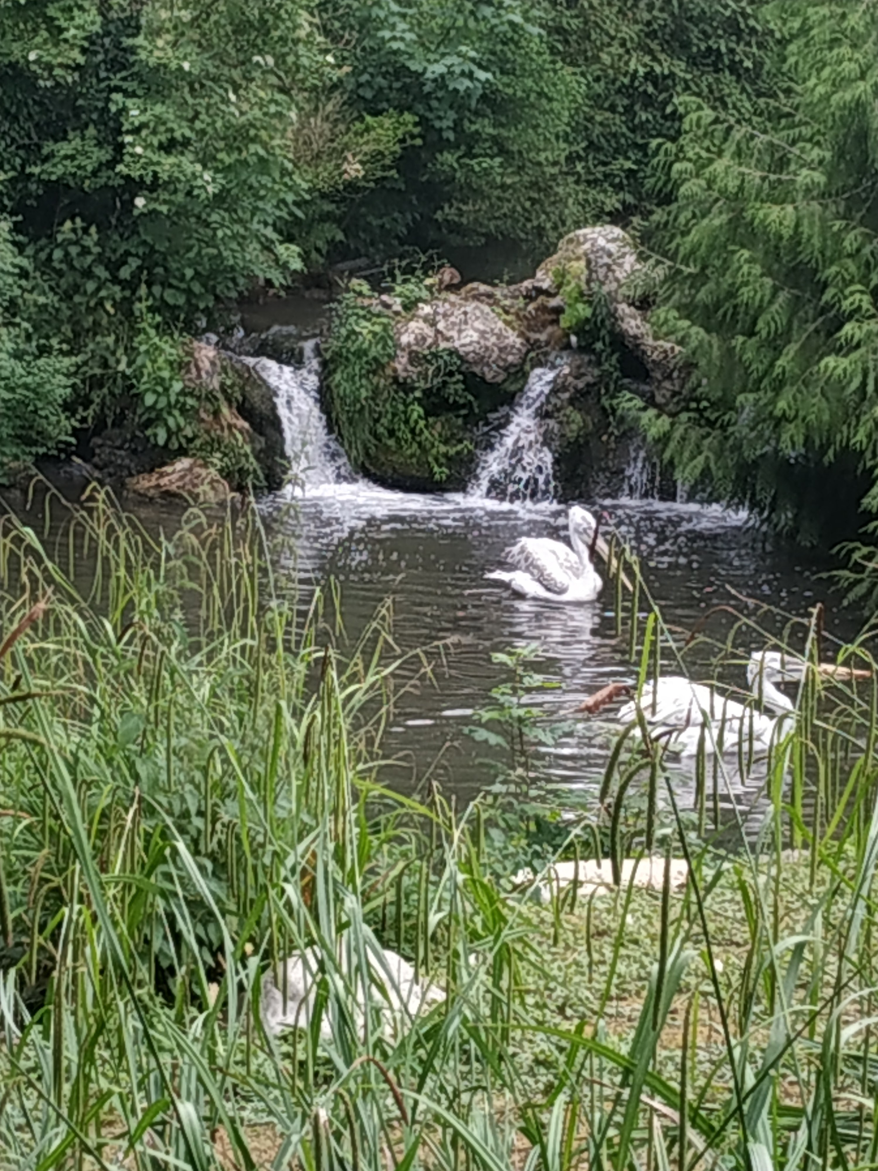 Photo n° 8 de l'avis de marie.l fait le 13/06/2023 à 20:22