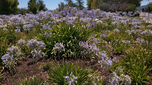 Health Club «24 Hour Fitness», reviews and photos, 4770 Willow Rd, Pleasanton, CA 94588, USA