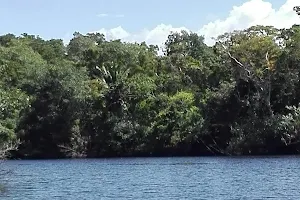 Punta Izopo National Park image