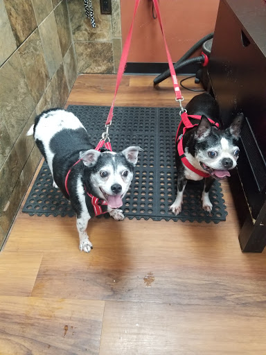 Pet Supply Store «Pet Valu», reviews and photos, 1305 West Seventh Street #28, Frederick, MD 21702, USA