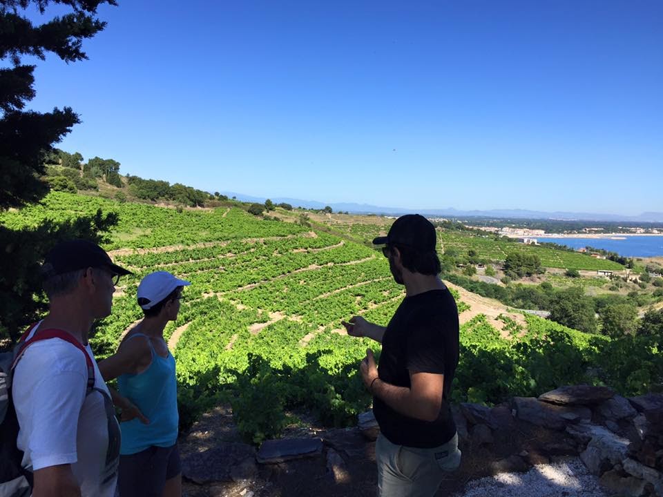 Photo n° 19 de l'avis de vinotour.o fait le 05/12/2016 à 17:36