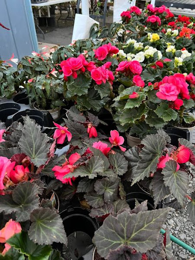 Florist «TG Designs», reviews and photos, 19231 Longmeadow Rd, Hagerstown, MD 21742, USA