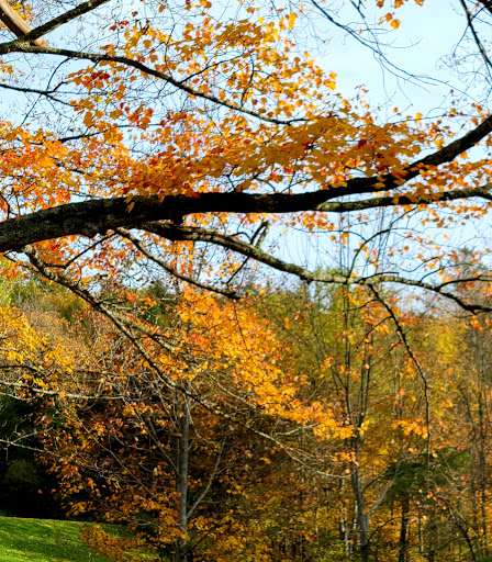 General Store «The Vermont Country Store Weston», reviews and photos, 657 Main St, Weston, VT 05161, USA