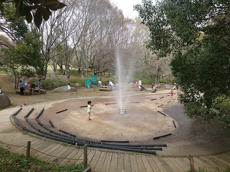 茨城県自然博物館 水の広場