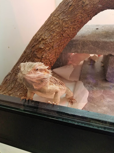 Tropical Fish Store «Harris In Wonderland», reviews and photos, 12 W Main St, Avon, CT 06001, USA