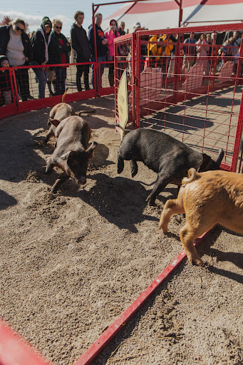 Produce Market «Didier Farms», reviews and photos, 16678 Aptakisic Rd, Lincolnshire, IL 60069, USA