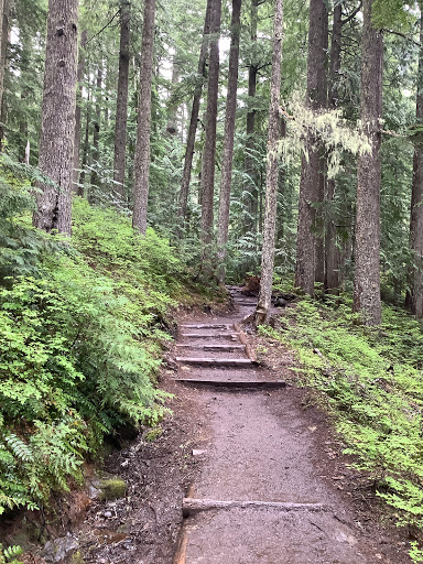 Health Food Store «Mountain Community Co-Op», reviews and photos, 105 Carter St E, Eatonville, WA 98328, USA