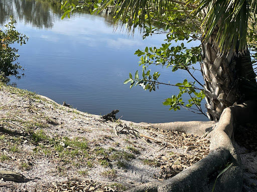 Golf Course «Sanibel Island Golf Club», reviews and photos, 1100 Par View Dr, Sanibel, FL 33957, USA