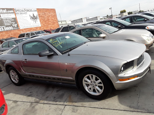 Auto Auction «BLOK Charity Auto Clearance», reviews and photos