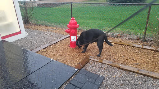 Pet Supply Store «Alpha-Dog Pet Centers, L.L.C.», reviews and photos, 46370 Middle Ridge Rd, Amherst, OH 44001, USA