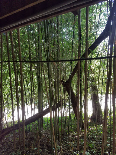 Park «Skiles Test Nature Park», reviews and photos, 6828 Fall Creek Rd, Indianapolis, IN 46220, USA