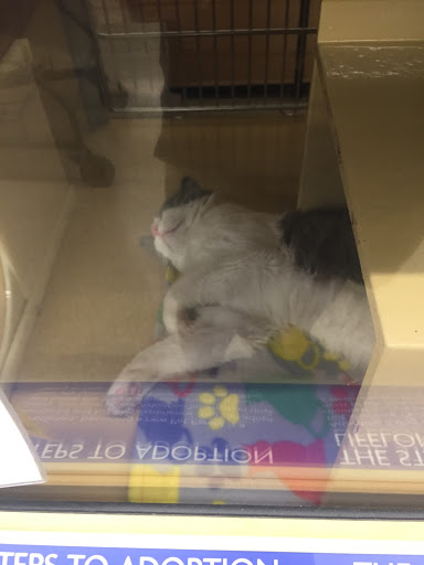 Pet Supply Store «Petco Animal Supplies», reviews and photos, 300 Hylan Dr, Rochester, NY 14623, USA