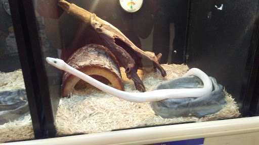 Pet Supply Store «PetSmart», reviews and photos, 4749 Valley View Blvd NW, Roanoke, VA 24012, USA