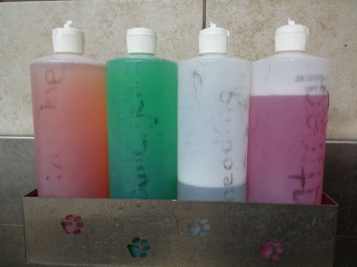 Pet Supply Store «Pet Supplies Plus», reviews and photos, 4100 Legacy Dr Suite 402, Plano, TX 75024, USA