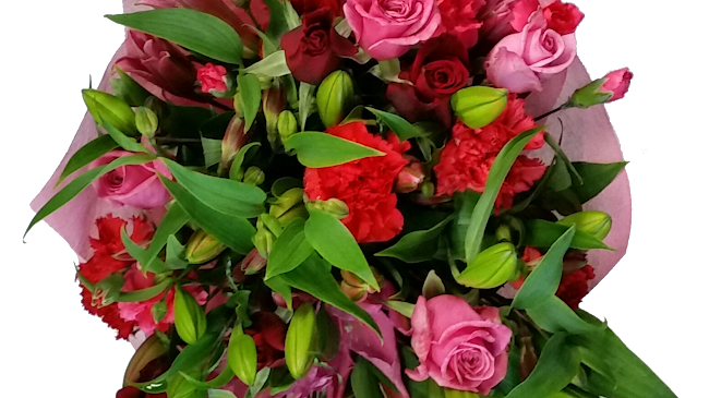 Papanui Flowerbiz Christchurch Florist Open Times