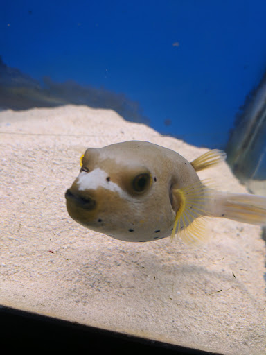 Pet Store «Animal Attraction», reviews and photos, 2518 11th Ave, Greeley, CO 80631, USA