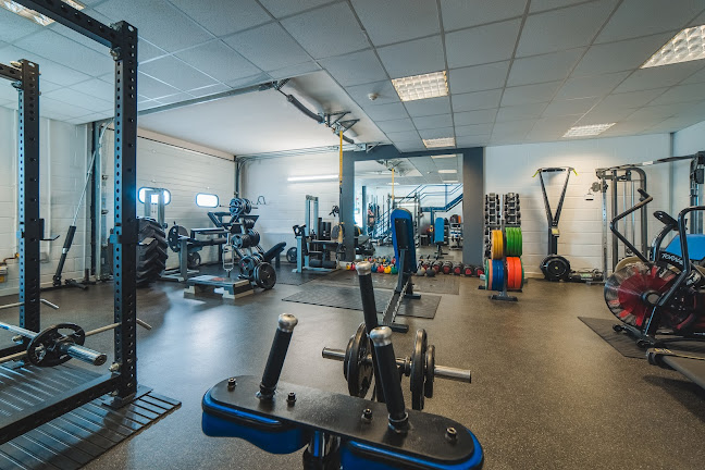 Reviews of Lee Paines Health & Wellness in Swindon - Personal Trainer