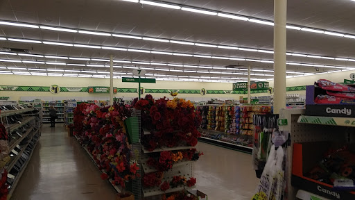 Dollar Store «Dollar Tree», reviews and photos, 117 Ballston Ave, Saratoga Springs, NY 12866, USA