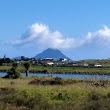 Whakatane Dog Obedience Park