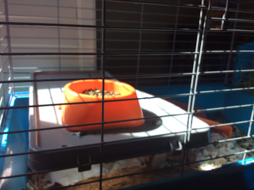 Coffee Shop «Starbucks», reviews and photos, 7083 US-70S, Nashville, TN 37221, USA