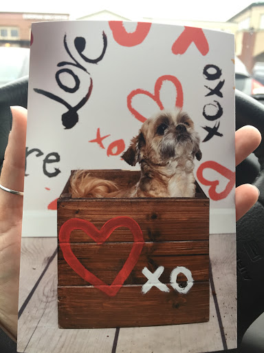 Pet Supply Store «EarthWise Pet Supply», reviews and photos, 7316 Yankee Rd, Liberty Township, OH 45044, USA