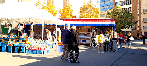 Exotic Food Market