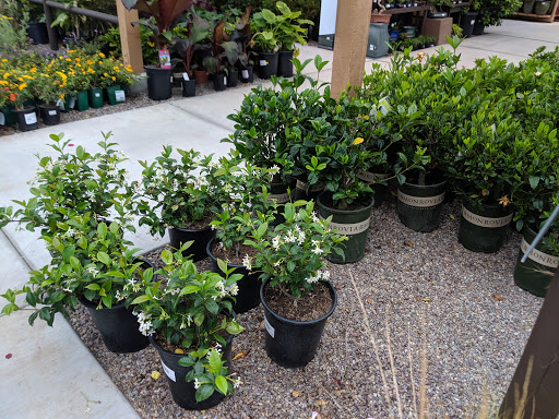 Bonsai plant supplier Chula Vista