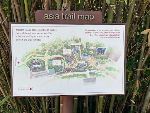 Tourist Attraction «Elephant Trails», reviews and photos, 3001 Connecticut Ave NW, Washington, DC 20008, USA